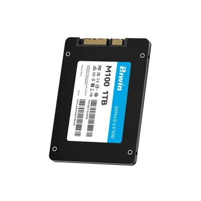 SSD BIWIN M100 | 1TB | 2.5" | SATA III 6.0Gb/s - BM100NN01TB-RGX
